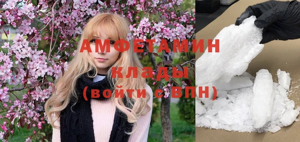 шишки Арсеньев