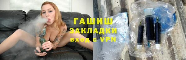 шишки Арсеньев