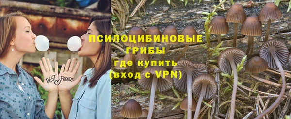 шишки Арсеньев