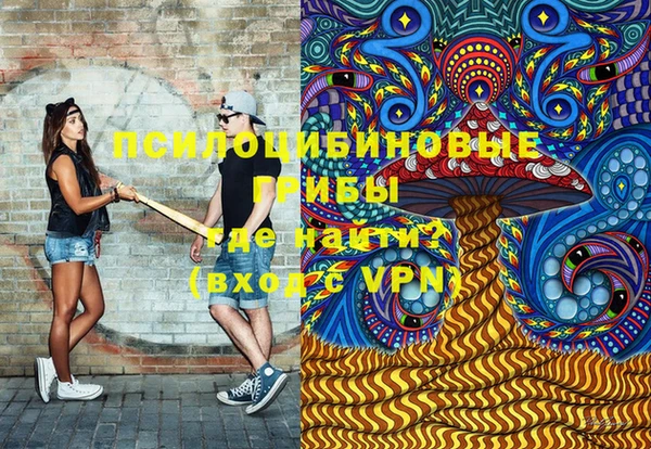 шишки Арсеньев
