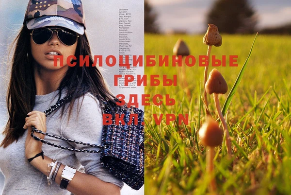 круглые Аркадак
