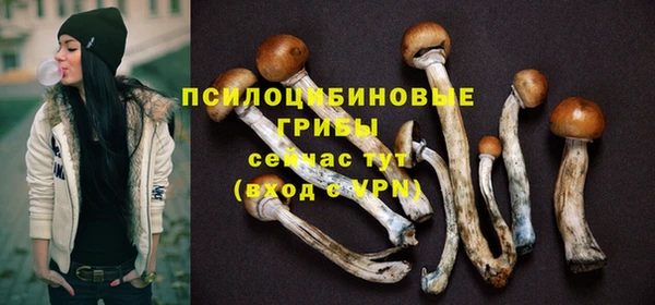 шишки Арсеньев