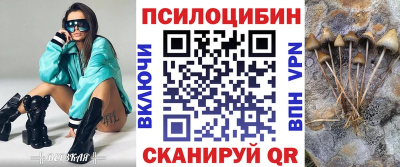 Галлюциногенные грибы Psilocybine cubensis  Поронайск 